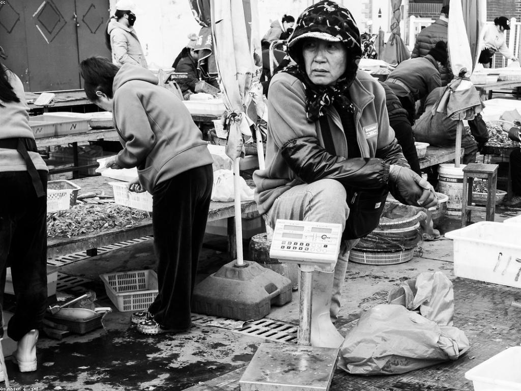 ត្រីពិសេស: ការស្រាវជ្រាវអំពីត្រីមានតំលៃនិងអត្ថប្រយោជន៍