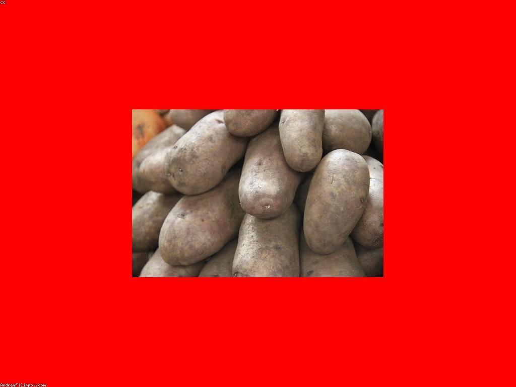 ត្រីពិសេស: ការស្រាវជ្រាវអំពីត្រីមានតំលៃនិងអត្ថប្រយោជន៍