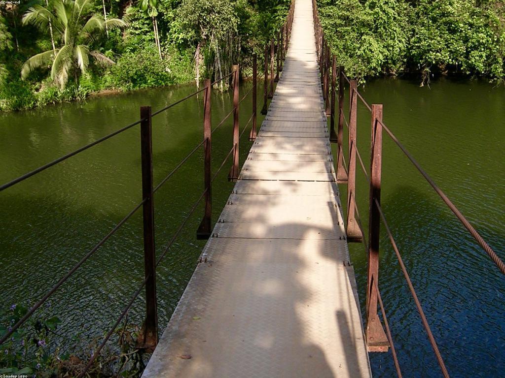 អាហារត្រី: ជីវិតនិងពិធីការពិសេស