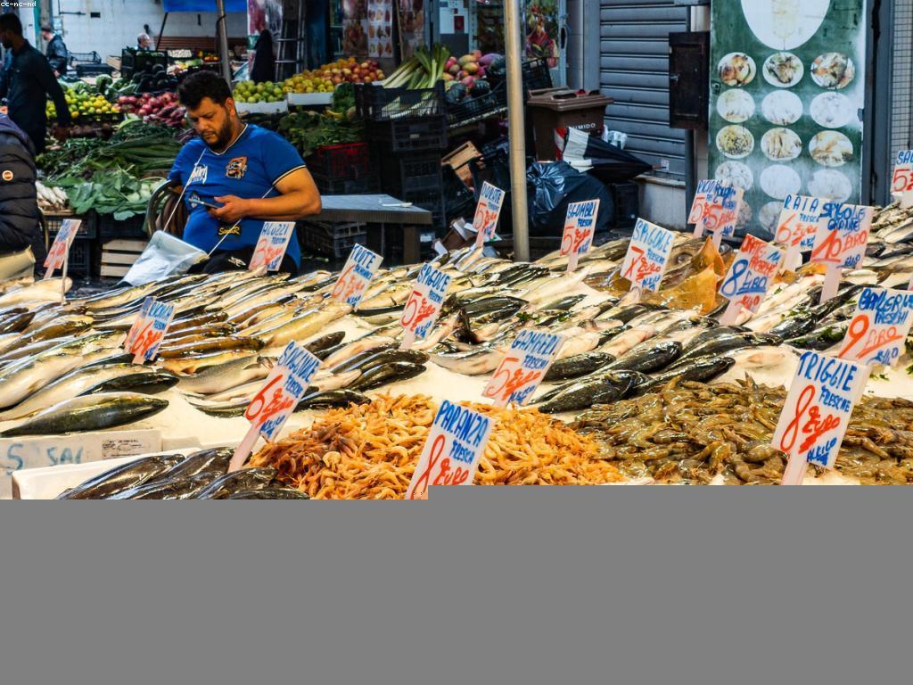 ការយល់ដឹងអំពីឈុតត្រីនិងទីផ្សារ