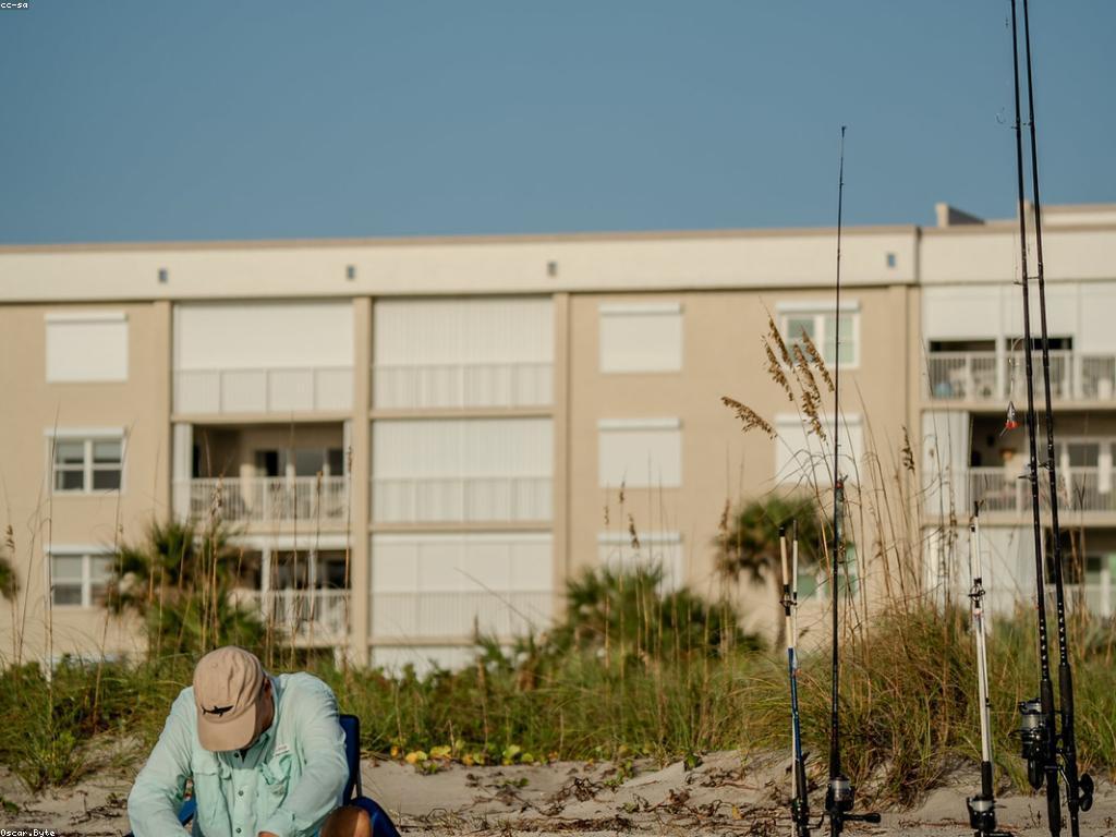 គន្លឹះសម្រាប់ចម្អិនម្ហូបត្រីឲ្យឆ្ងាញ់