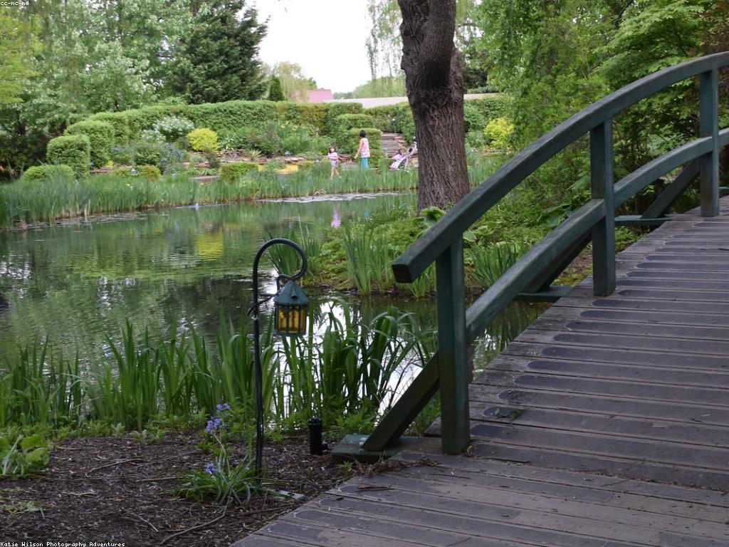 ត្រីពិសេស: ការបង្ហាញនិងការទិញនៅកន្លែងលក់