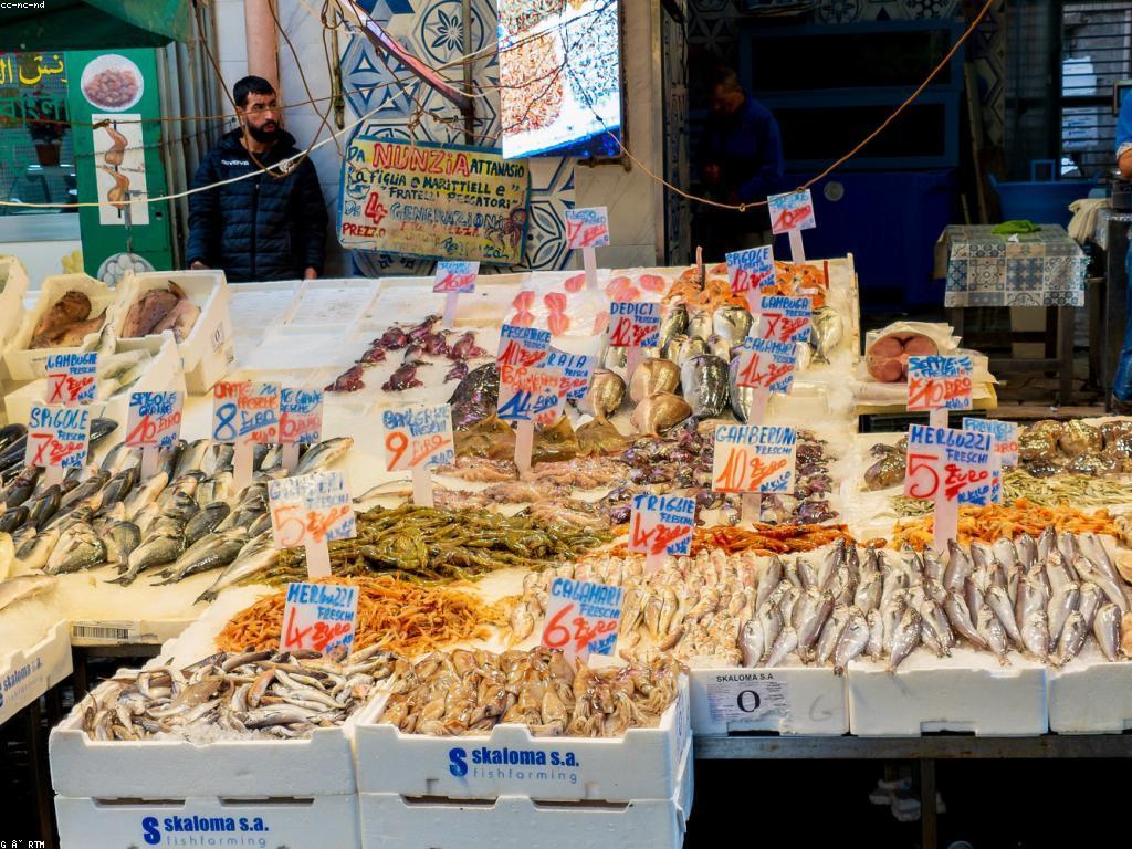 កន្លែងលក់ត្រី: ការជ្រើសរើស និងការទិញ