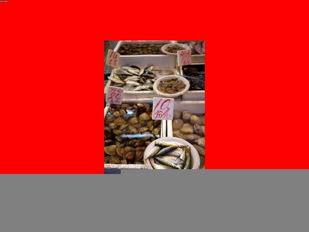 ការបង្កើតម្ហូបត្រីថ្មីៗនាពេលបច្ចុប្បន្ន